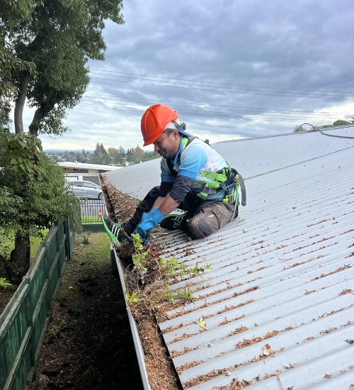 How to Clean Gutters from the Ground