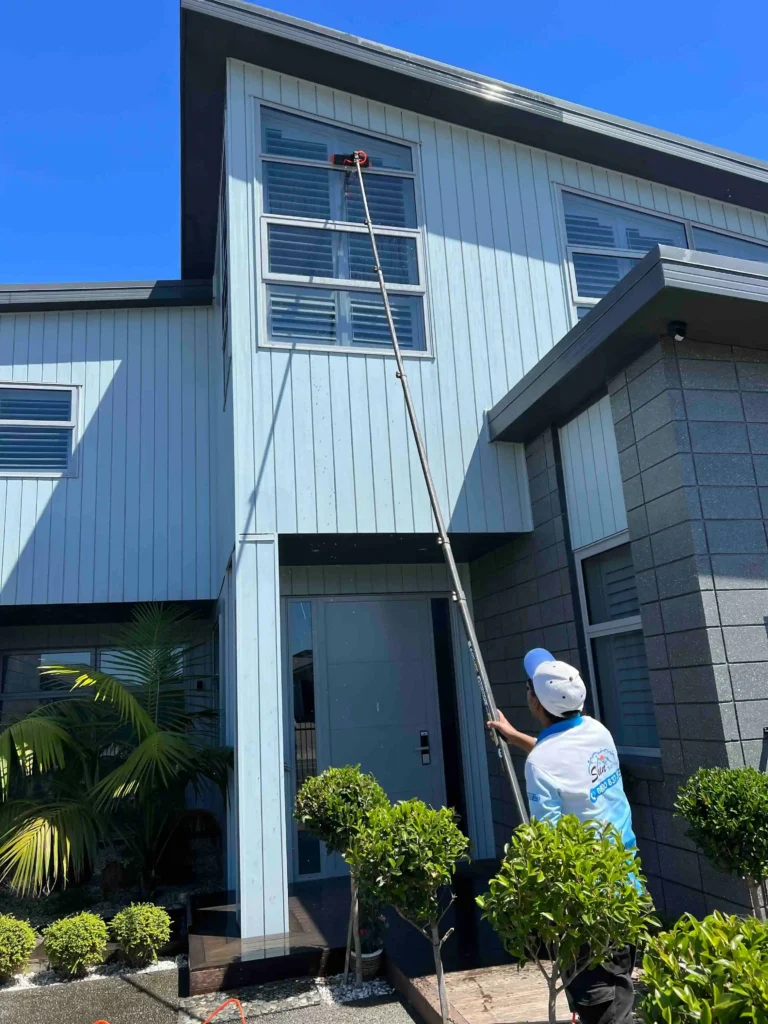 WINDOW CLEANING