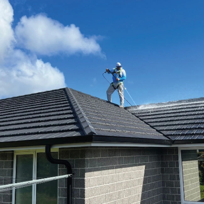 Roof Wash & Moss Treatment