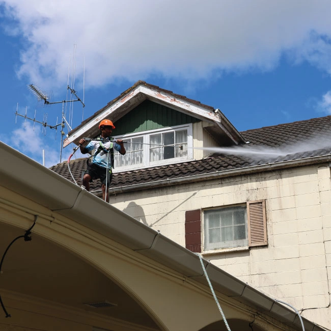 Roof Wash & Moss Treatment