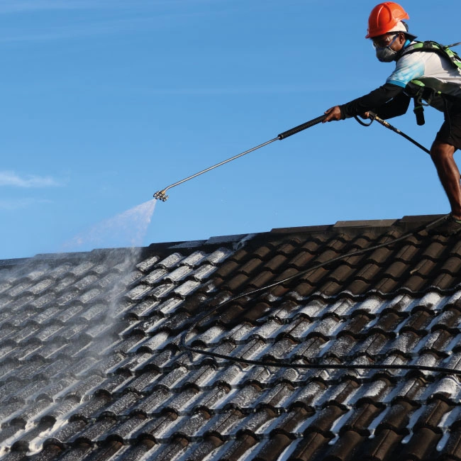 Roof Wash & Moss Treatment