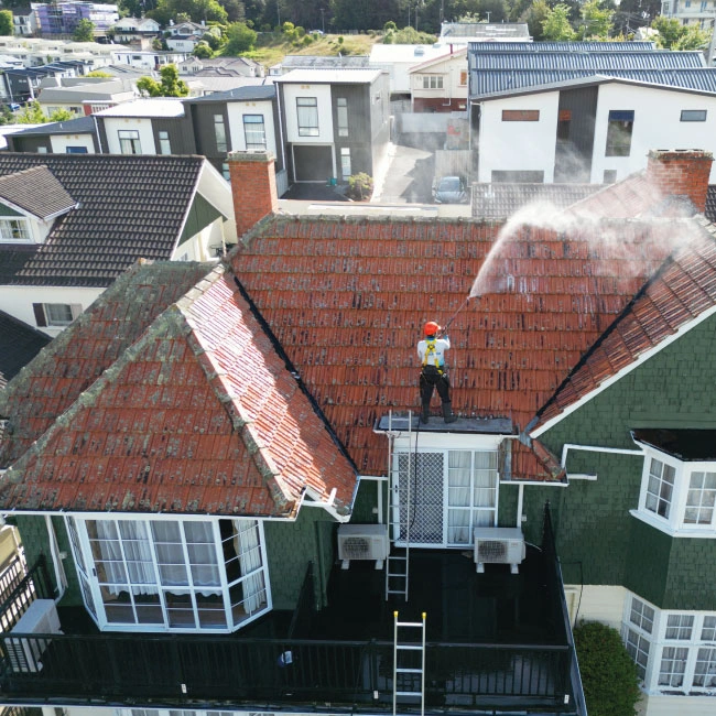 Roof Wash & Moss Treatment