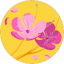 sone maui profile picture